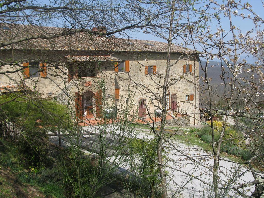 La Ghiandaia Casa Vacanza Lucolena in Chianti 部屋 写真