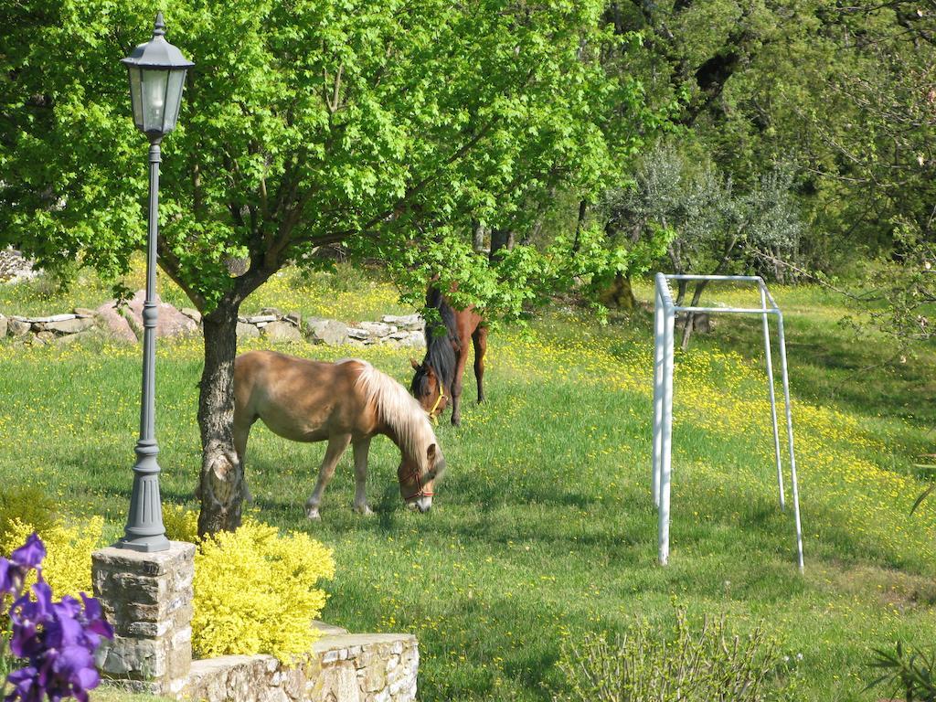 La Ghiandaia Casa Vacanza Lucolena in Chianti エクステリア 写真