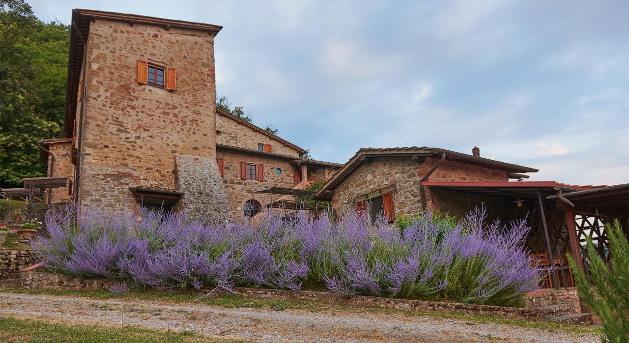 La Ghiandaia Casa Vacanza Lucolena in Chianti エクステリア 写真